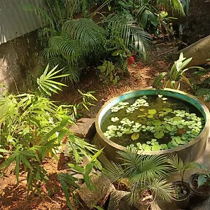  Séjour chez l'habitant Adams Wood House Ayurveda Inde